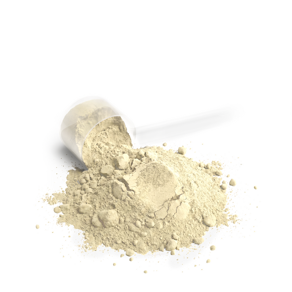 A scoop and spilled powder of Performance Whey Protein Blend (Vanilla) on a white background by nutrima.