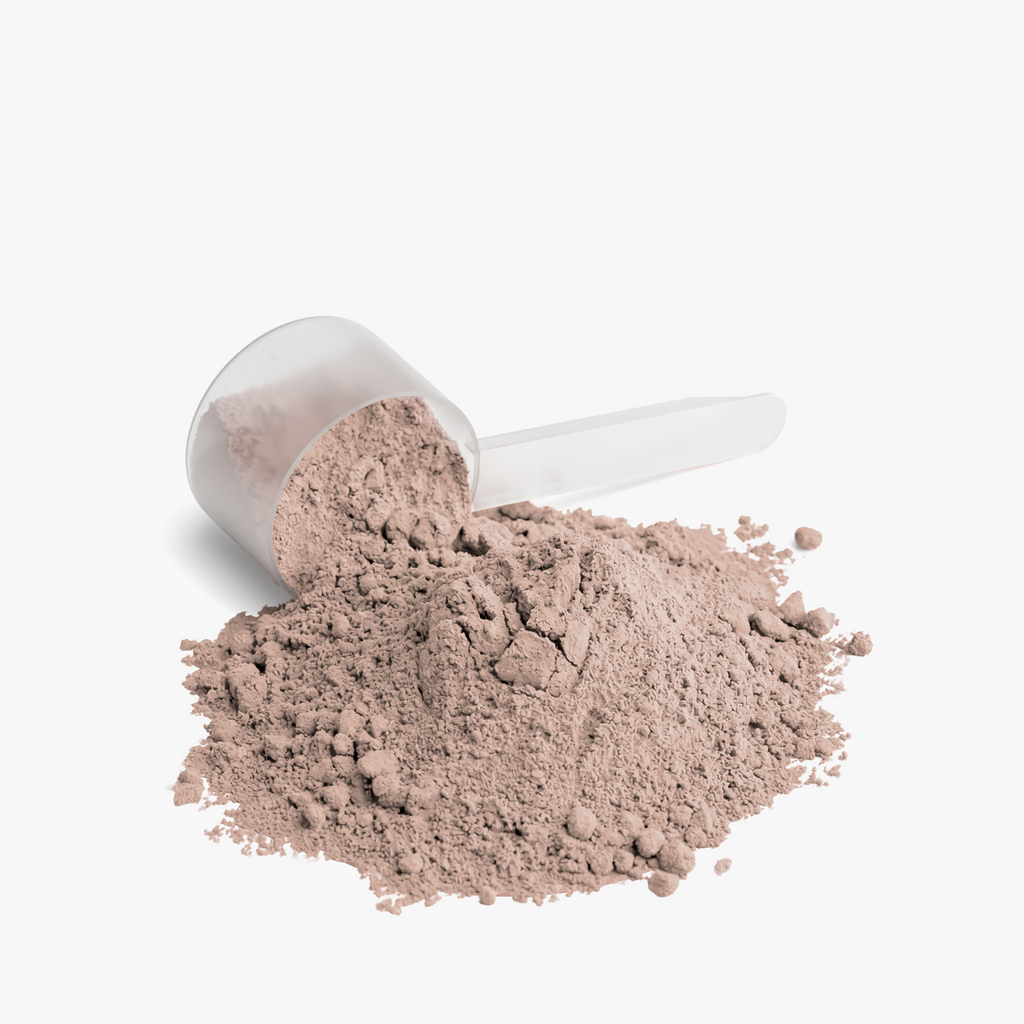 Chocolate Plant Protein powder is shown with a clear scoop, highlighting its fine texture and rich color by nutrima.