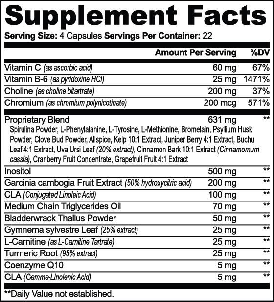 L-Carnitine, MCT & Garcinia Capsules by nutrima – product image 6