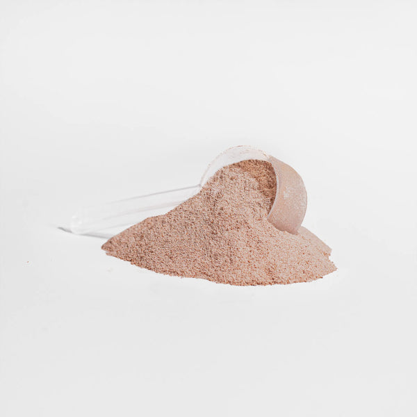Chocolate-colored Grass-Fed Collagen Peptides Powder in a scoop, displayed on a clean white background by nutrima.