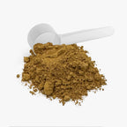 Mushroom Fuse Instant Coffee (Medium Roast) powder with a measuring scoop, showcasing its fine texture and earthy color by nu